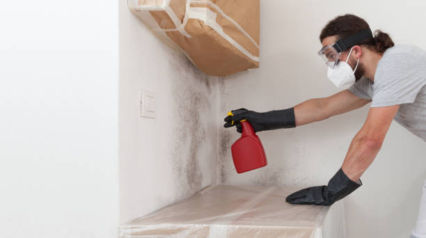 Professional Bathroom Mold Removal technician working in Lumberton, NC